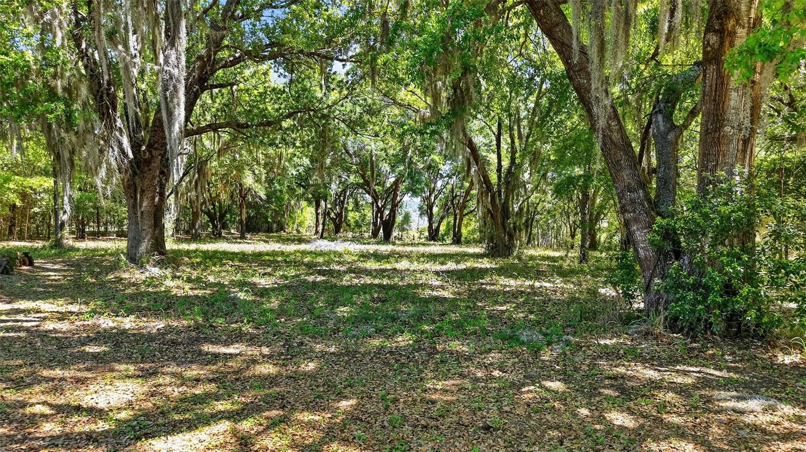 32510 Whitney Rd Property Photo 12