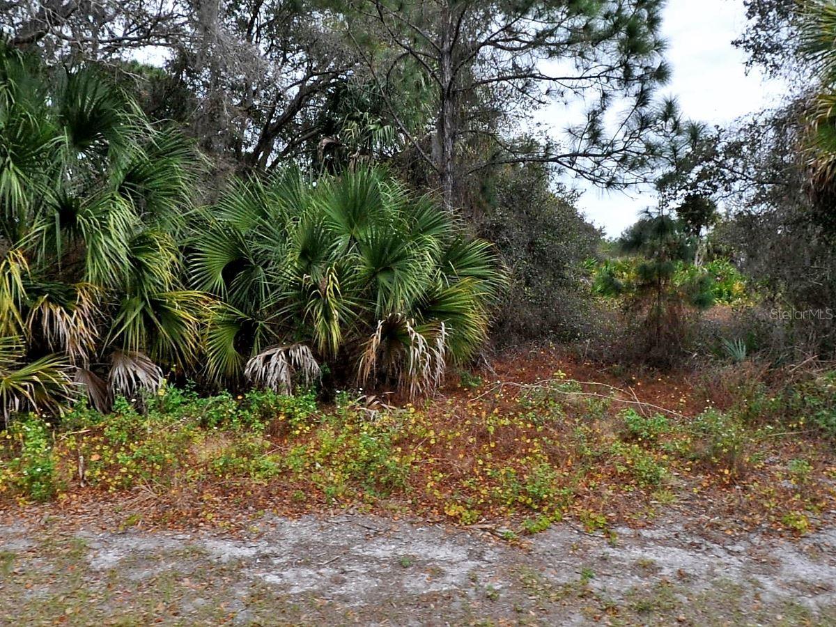 Florala St Property Photo 2