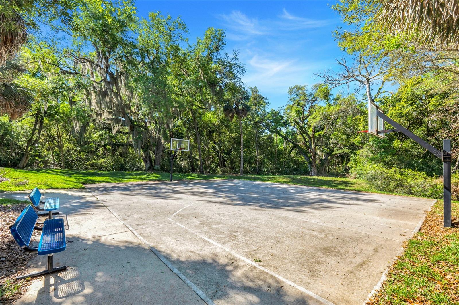 413 Split Oak Ct Property Photo 43