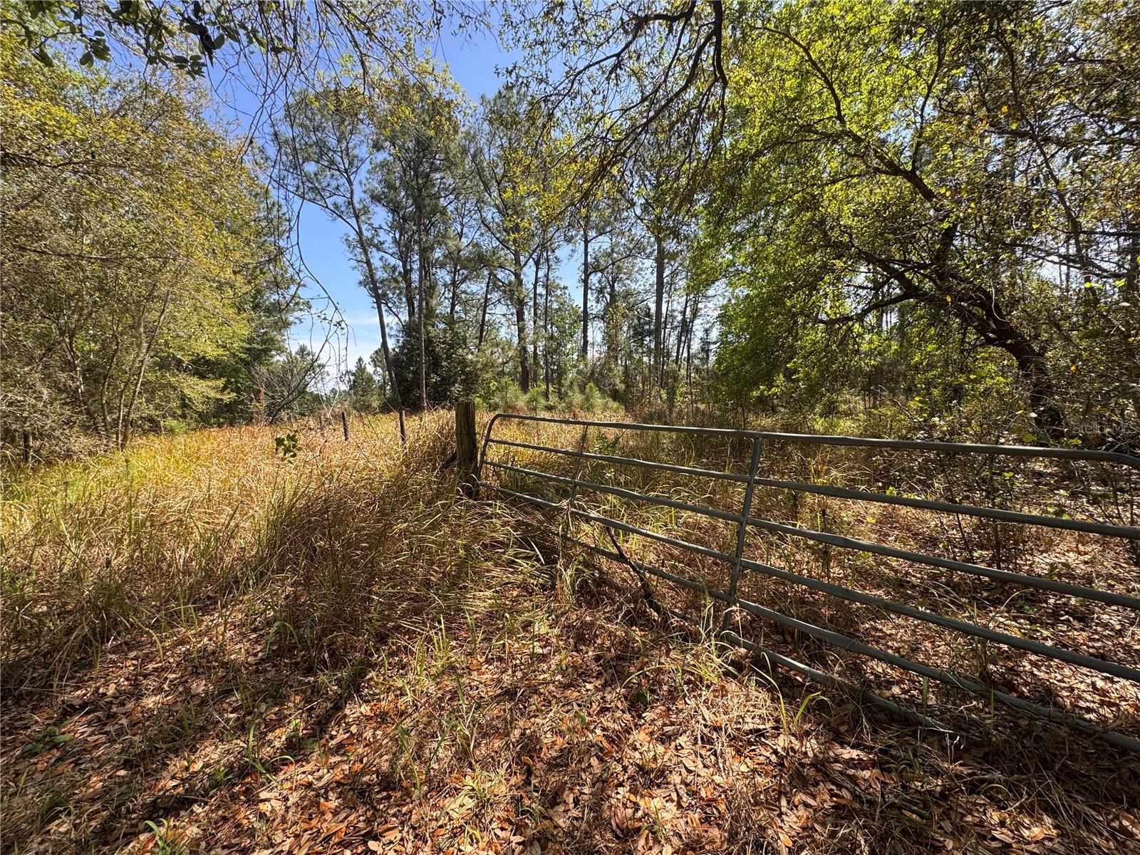 Coffee Creek Ln Property Photo 7