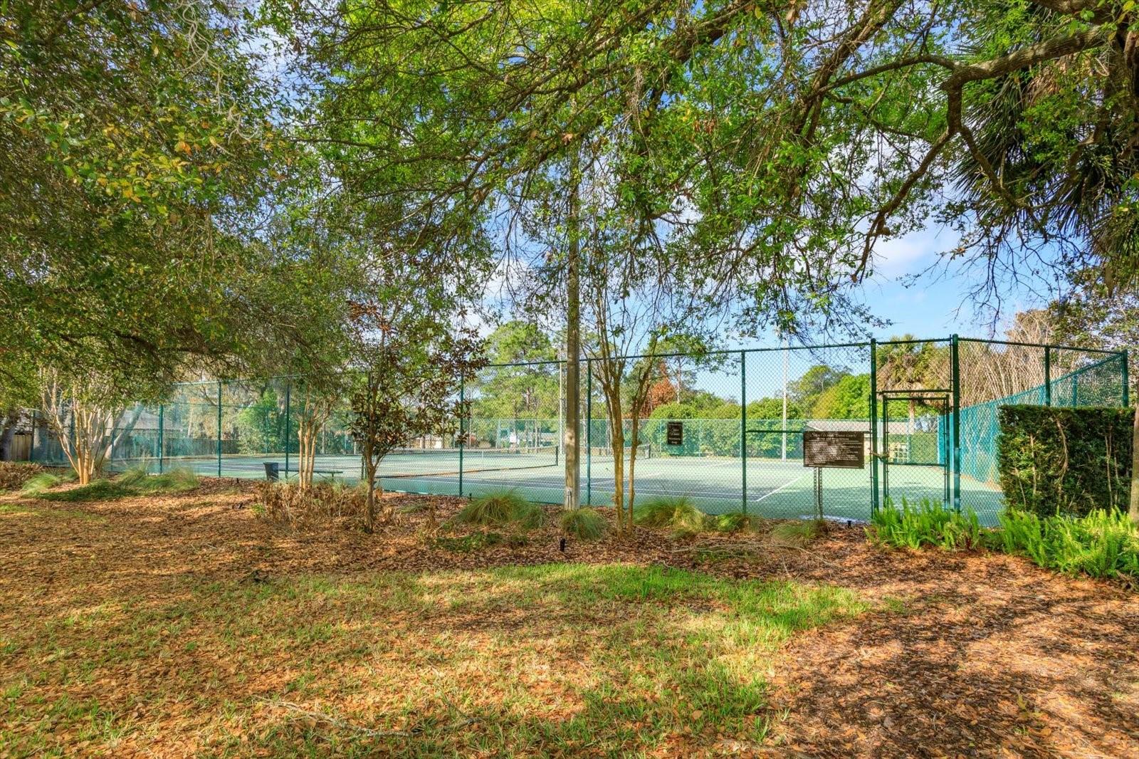 9237 Sabal Palm Cir Property Photo 43