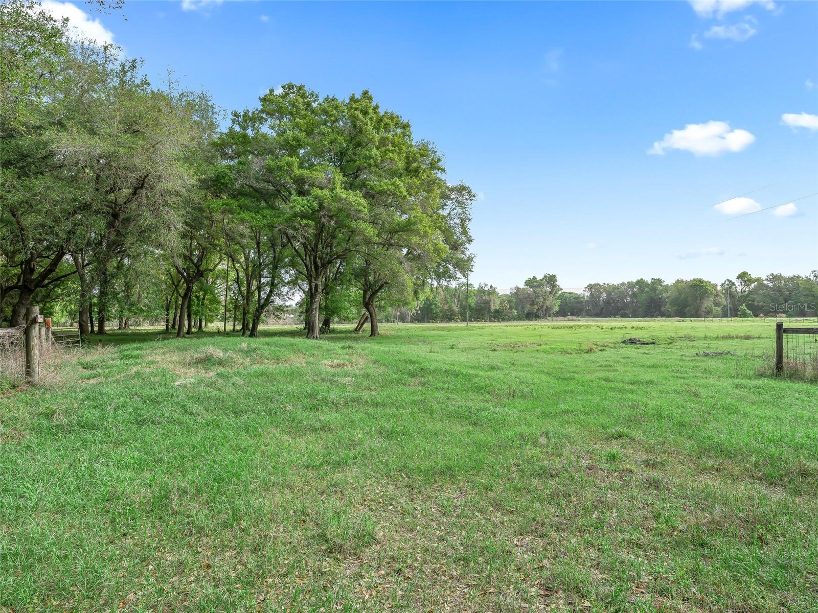 8234 S Us 301 Property Photo 38