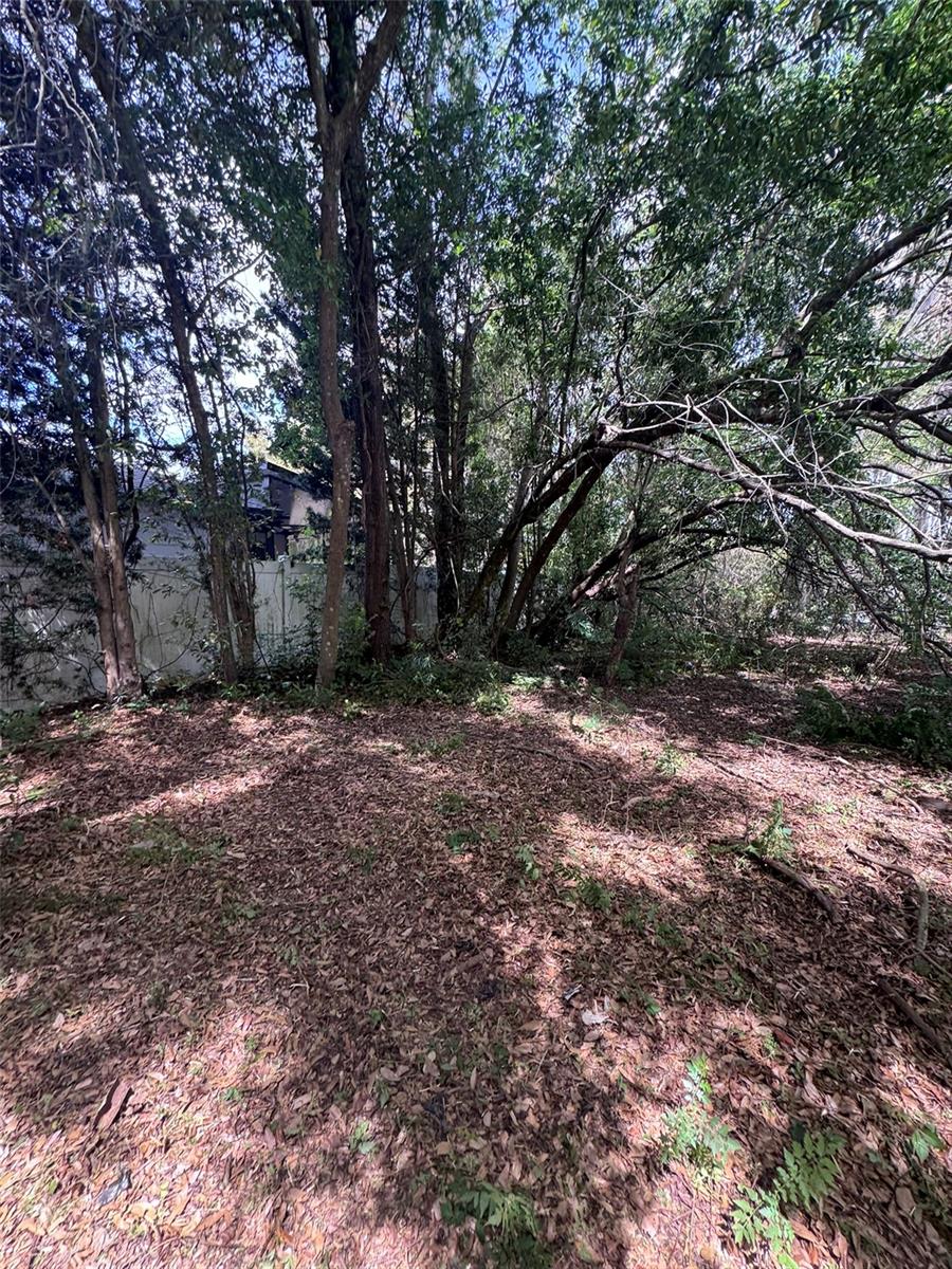13147 Suburban Ter Property Photo 33