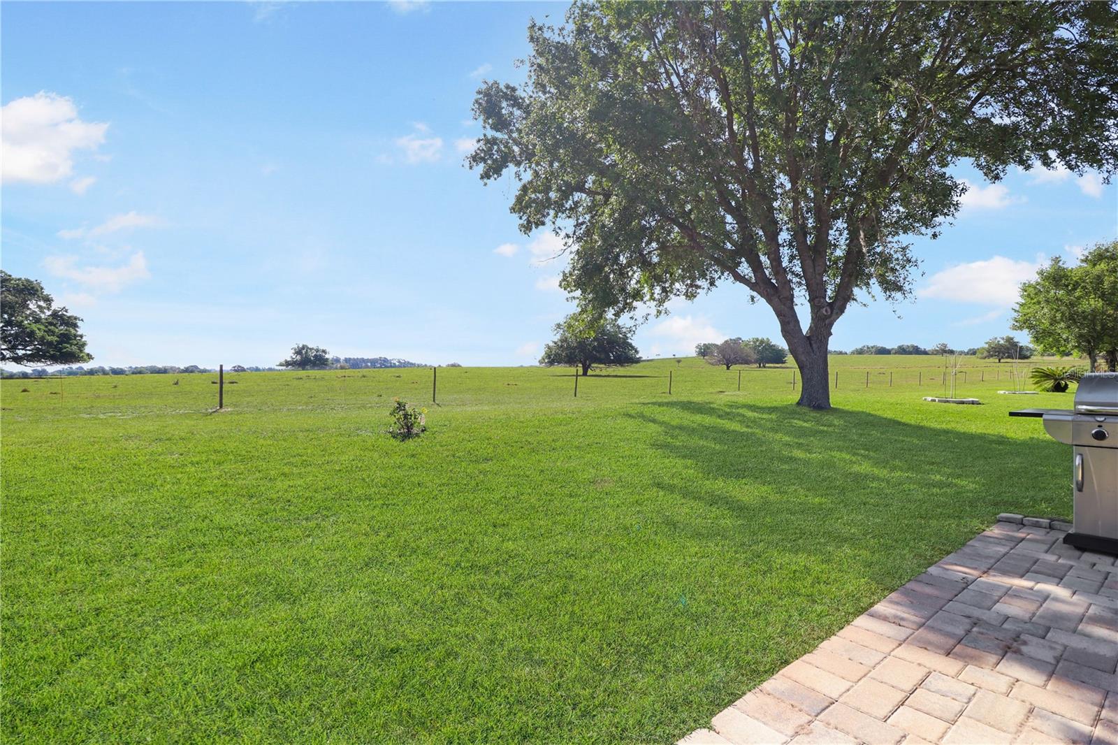 20846 Queen Alexandra Dr Property Photo 26