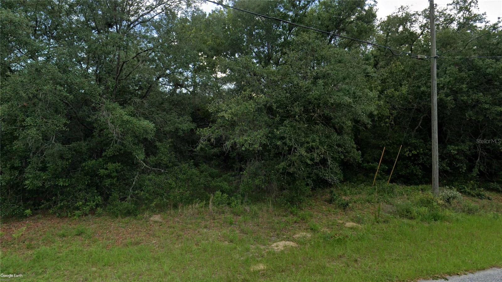 10632 N Skylark Ter Property Photo 2