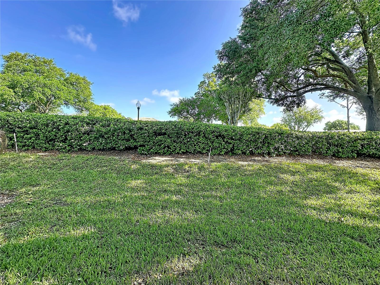 2308 Twickingham Ct Property Photo 38
