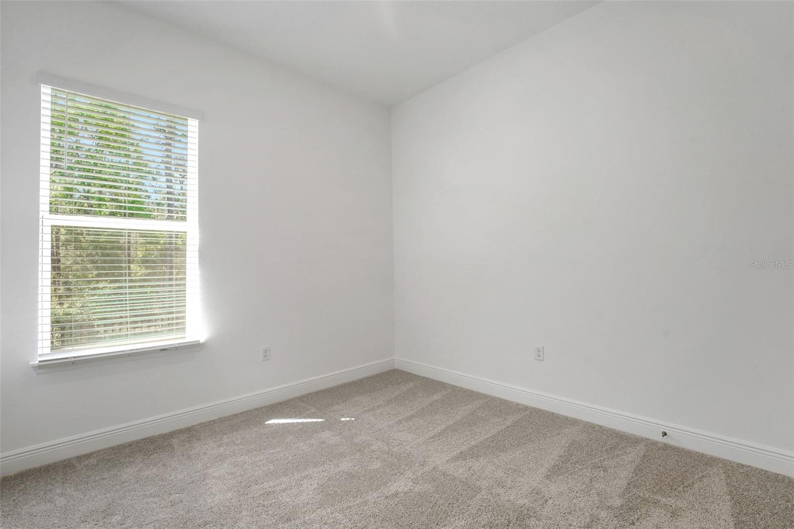 14371 Crest Palm Ave Property Photo 20