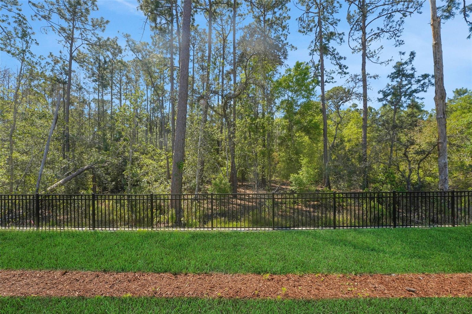 14371 Crest Palm Ave Property Photo 44