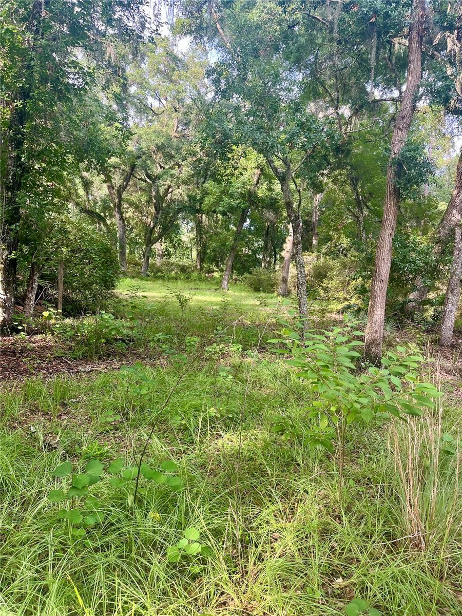 2260 Panorama Dr Property Photo 48