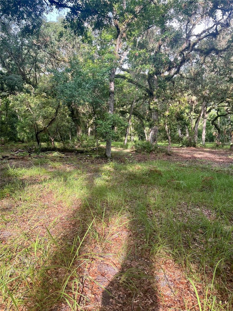 2260 Panorama Dr Property Photo 50