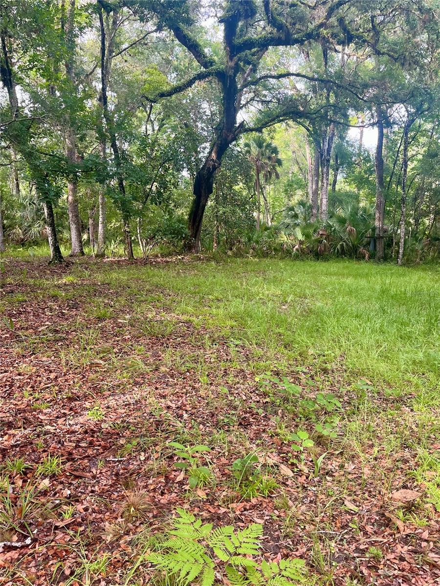 2260 Panorama Dr Property Photo 55