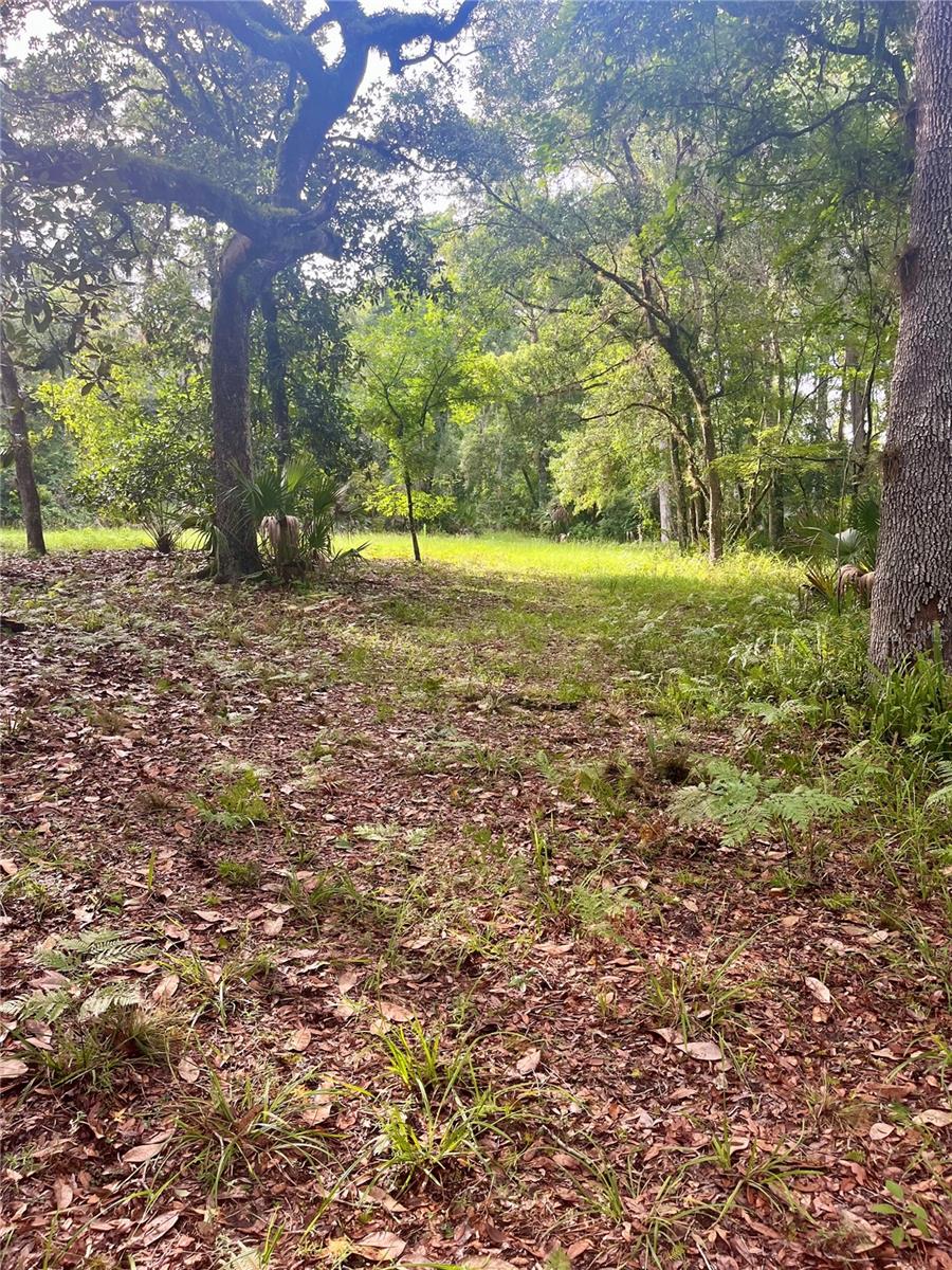2260 Panorama Dr Property Photo 59