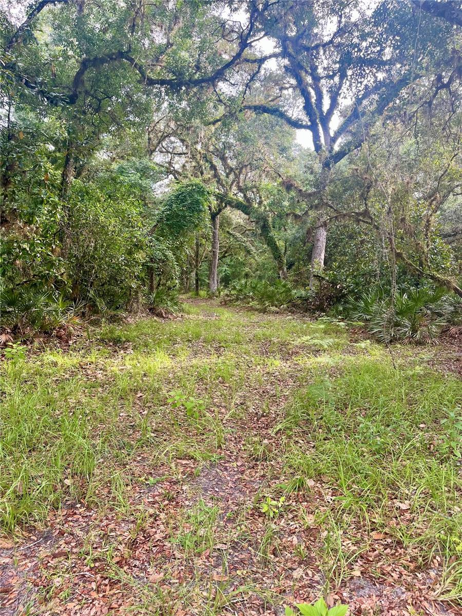 2260 Panorama Dr Property Photo 60