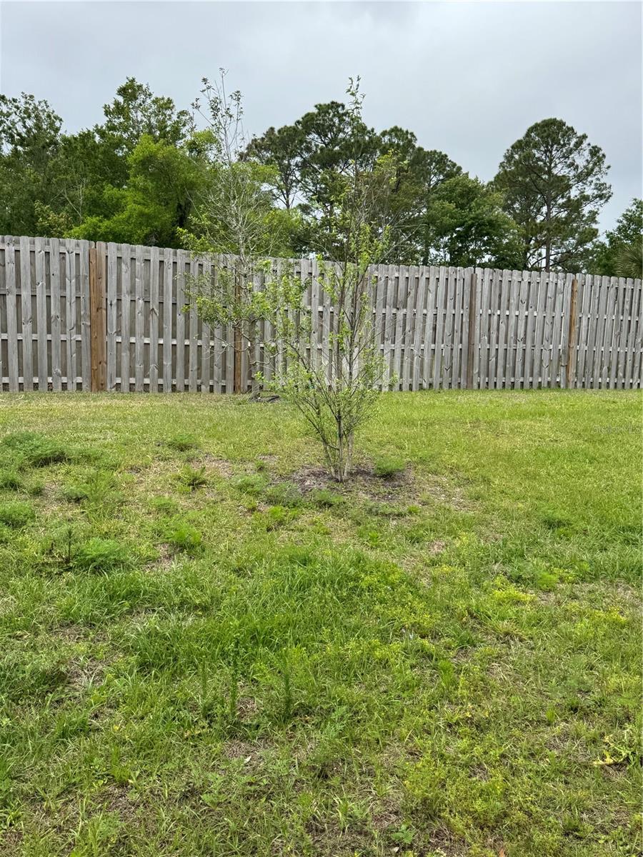 203 Chesterwood Rd Property Photo 22