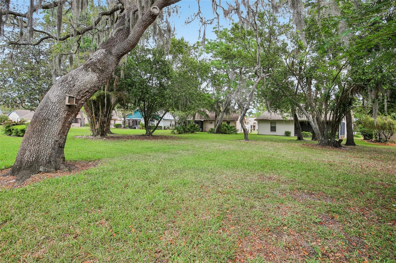 11622 Cocowood Dr Property Photo 15