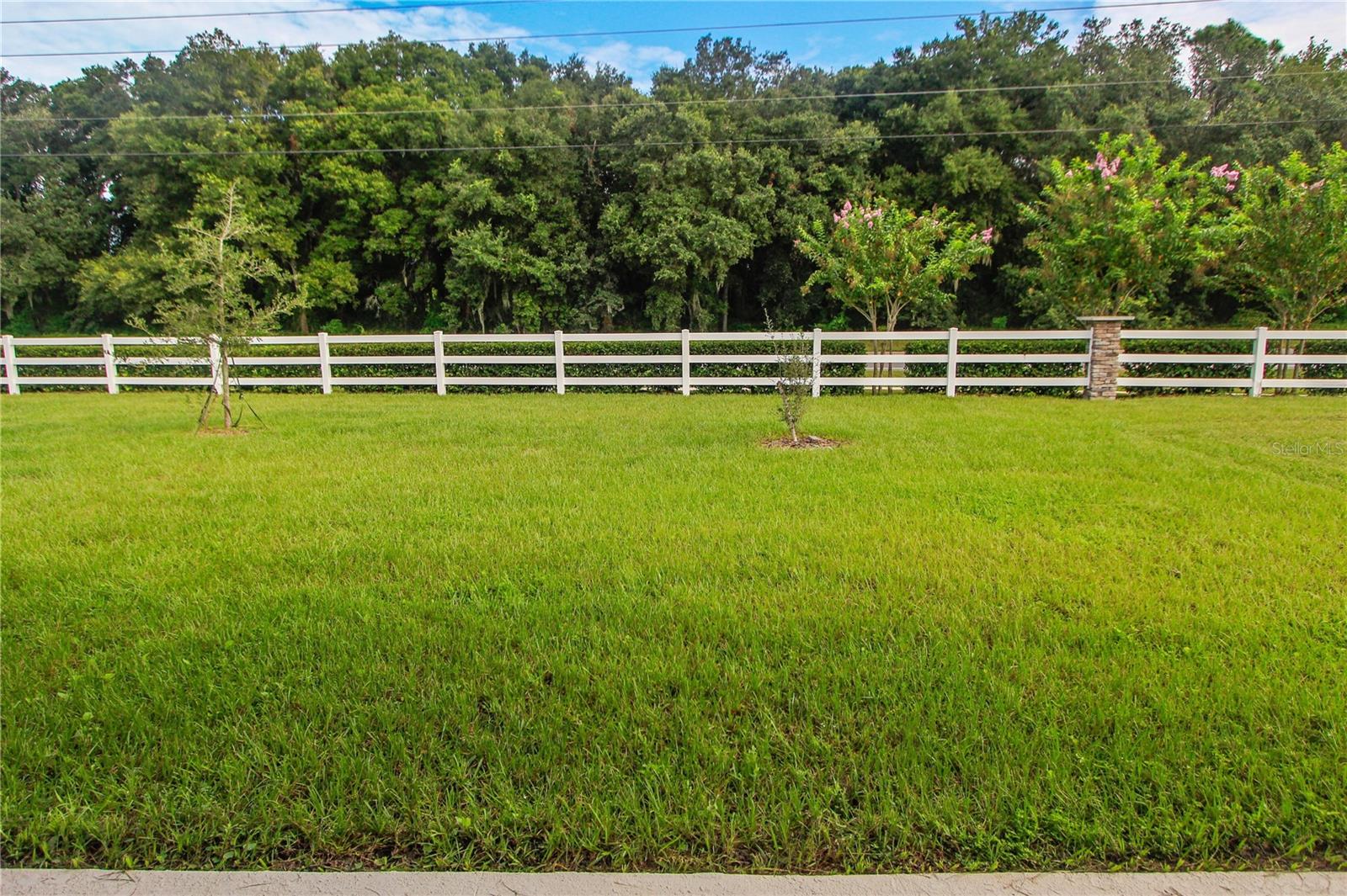 5208 Meadow Song Dr Property Photo 6