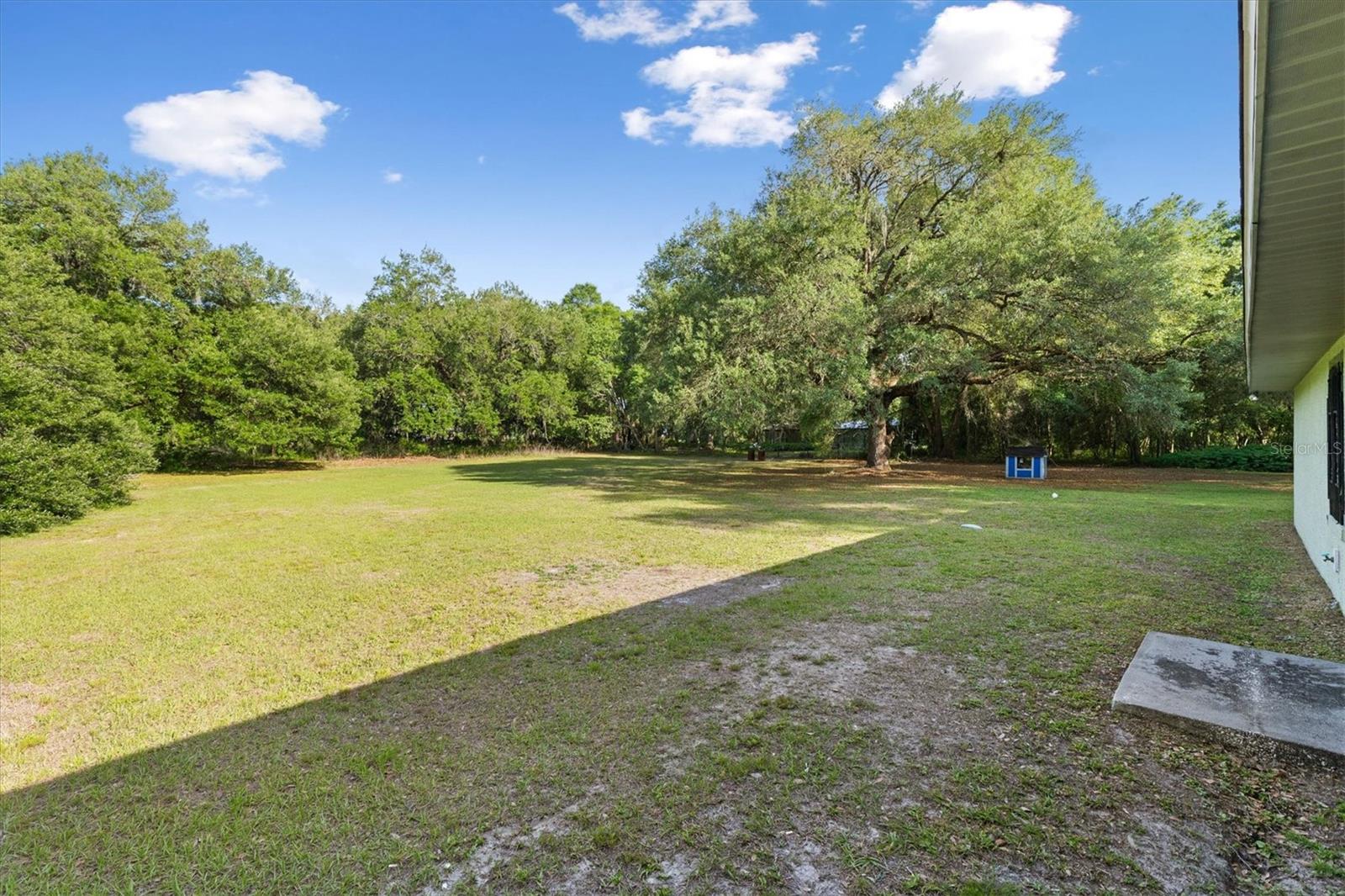 7175 County Road 213 Property Photo 29