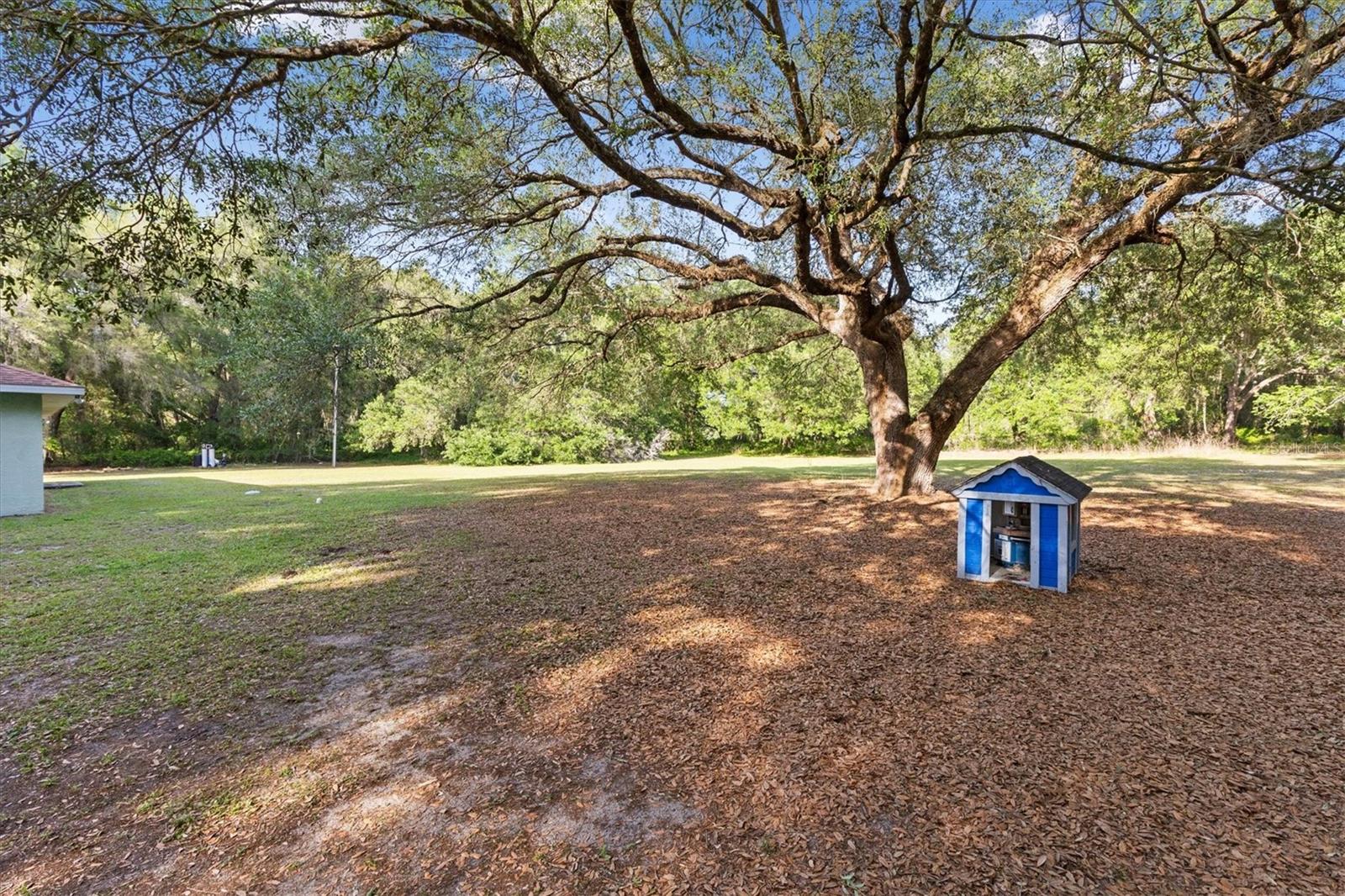 7175 County Road 213 Property Photo 31