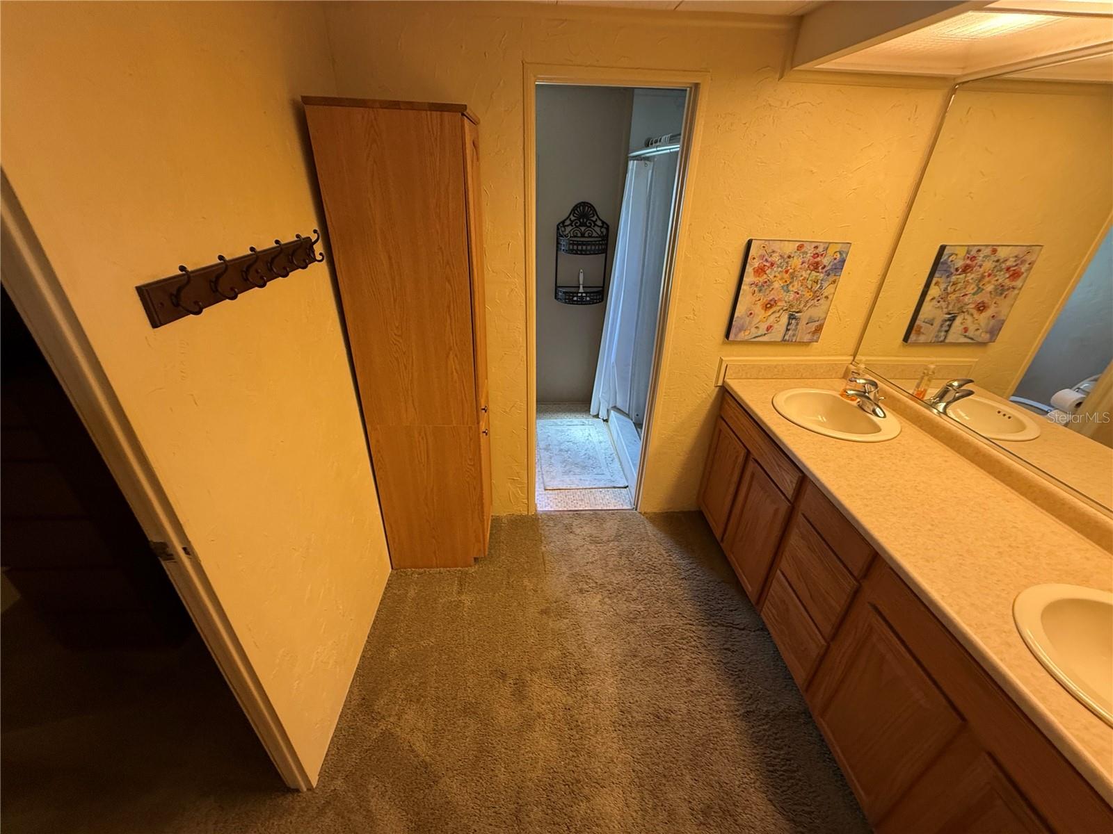 9 S Bobwhite Rd Property Photo 19
