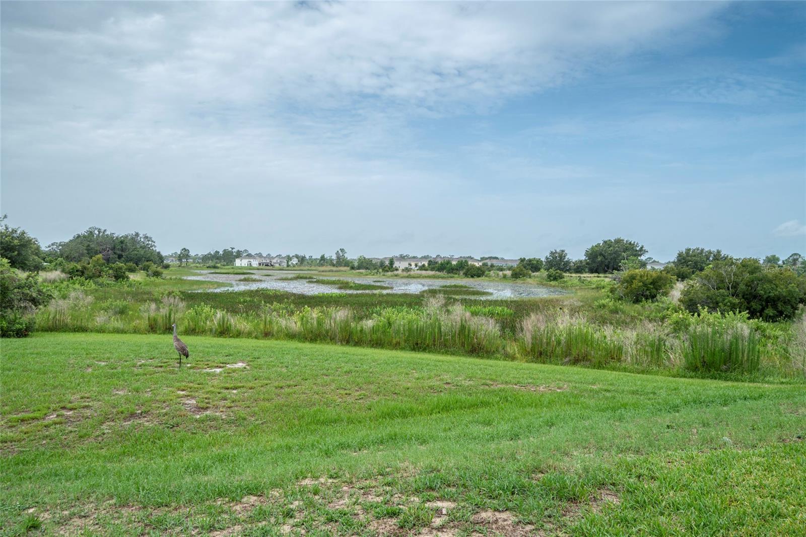 212 Primrose Dr Property Photo 22