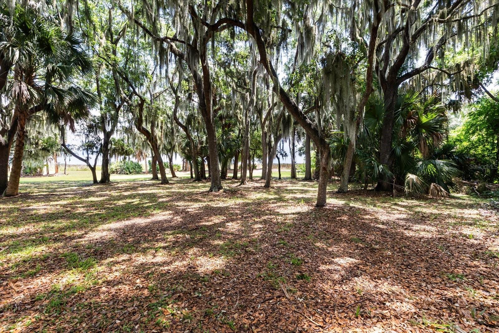 Tbd Deer Island Rd Property Photo 5
