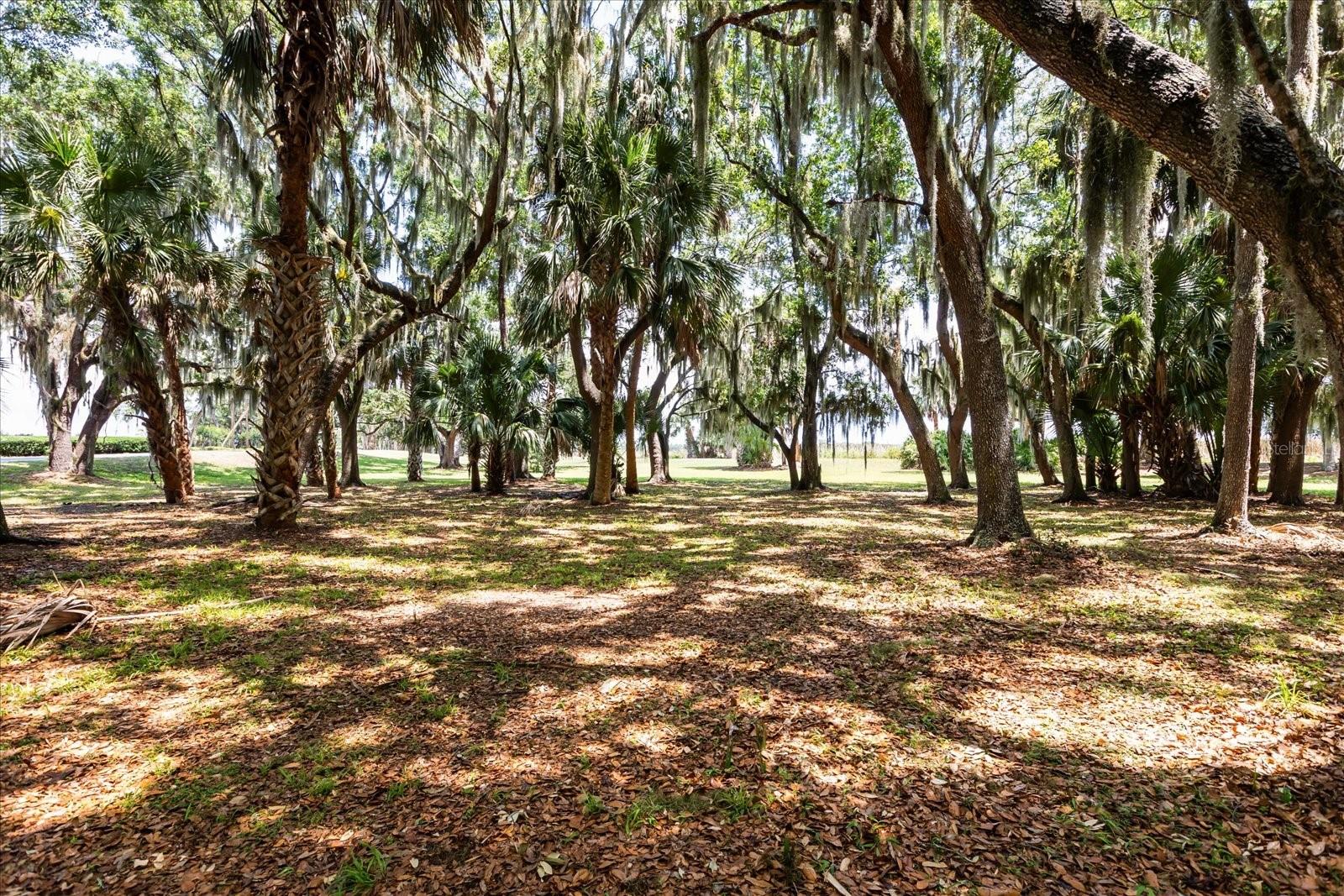 Tbd Deer Island Rd Property Photo 11