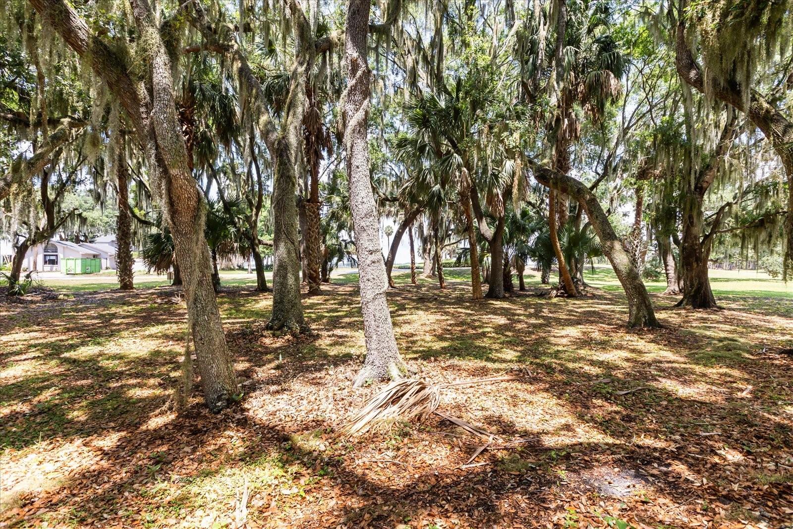 Tbd Deer Island Rd Property Photo 13