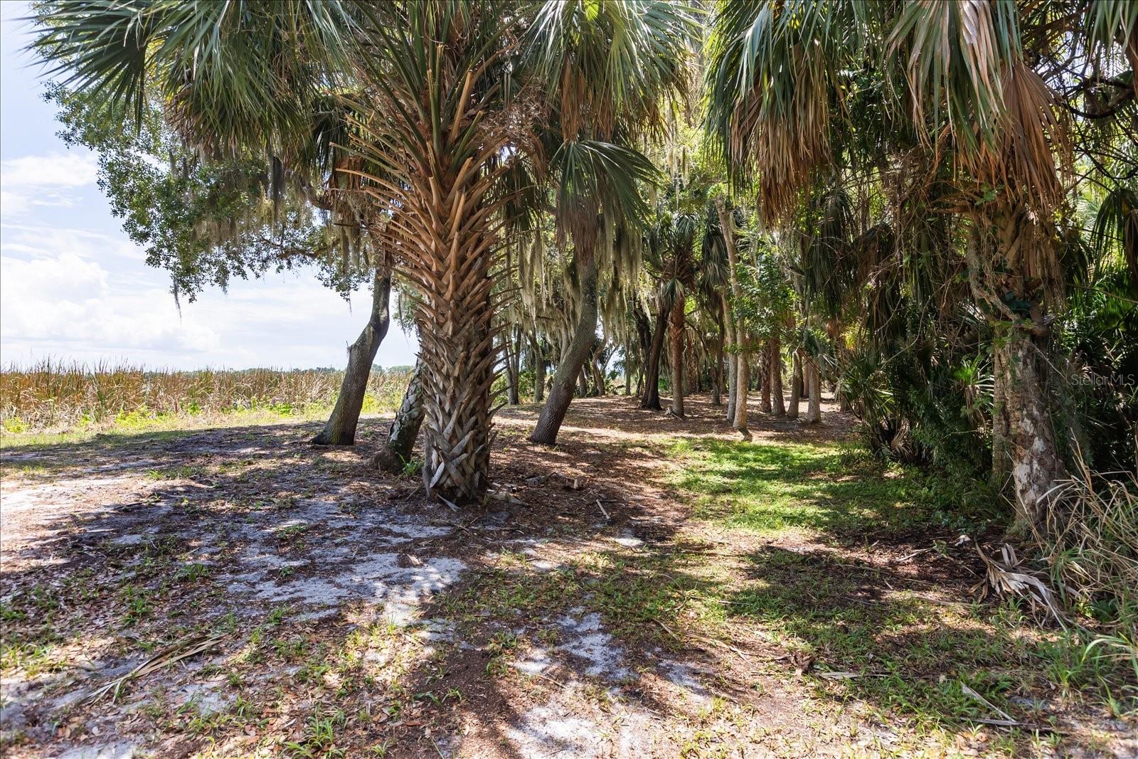 Tbd Deer Island Rd Property Photo 14