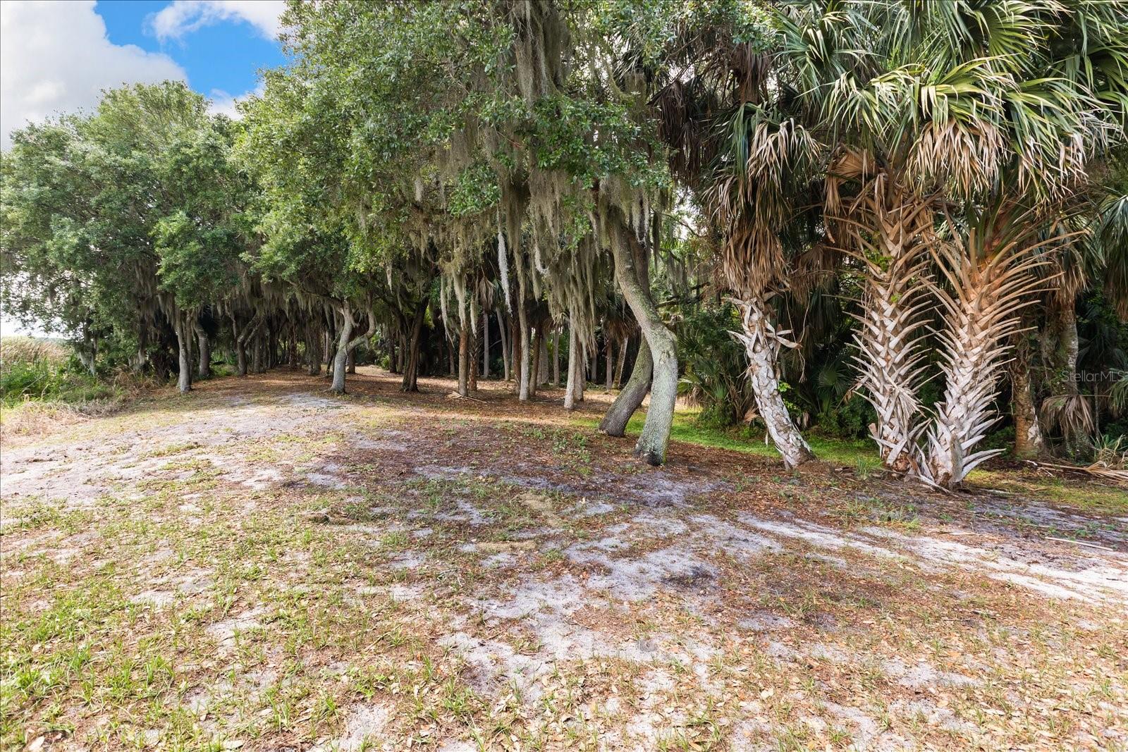 Tbd Deer Island Rd Property Photo 15