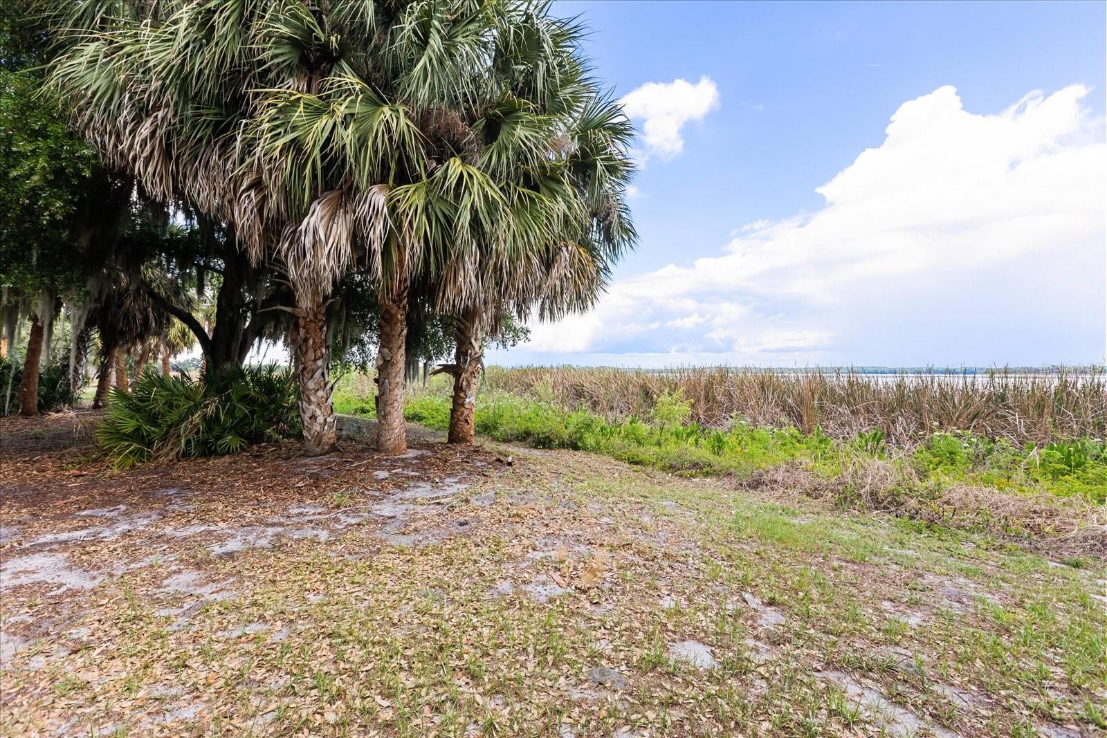 Tbd Deer Island Rd Property Photo 17