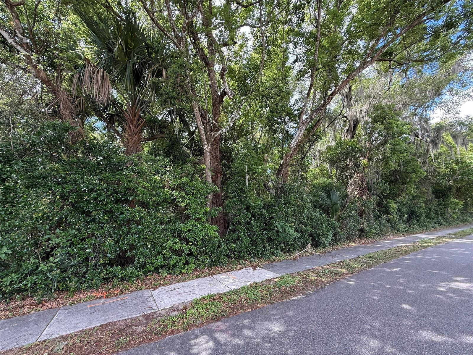 Tbd King Ave Property Photo 1