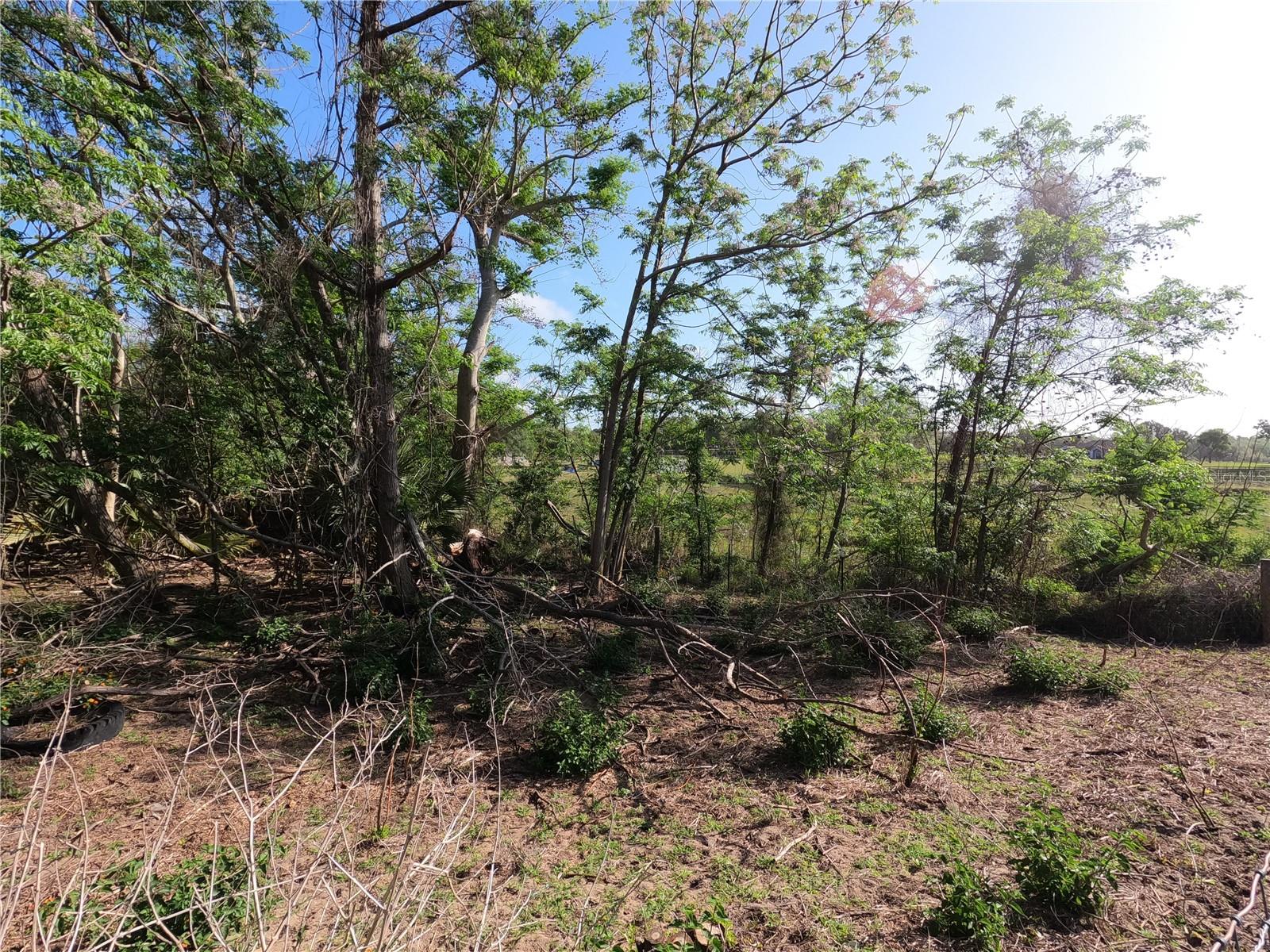 0 Earth Star Ln Property Photo 3