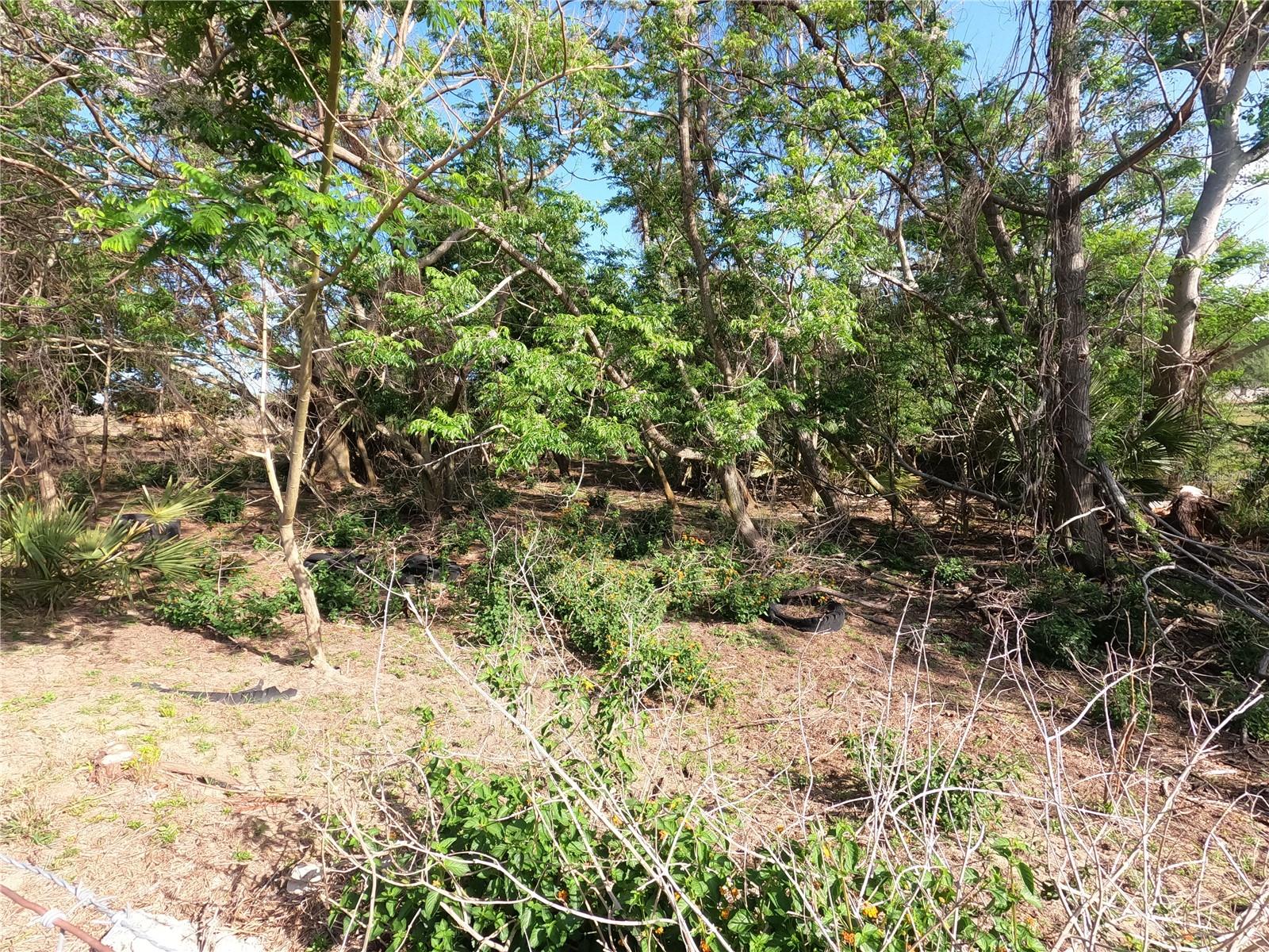 0 Earth Star Ln Property Photo 4
