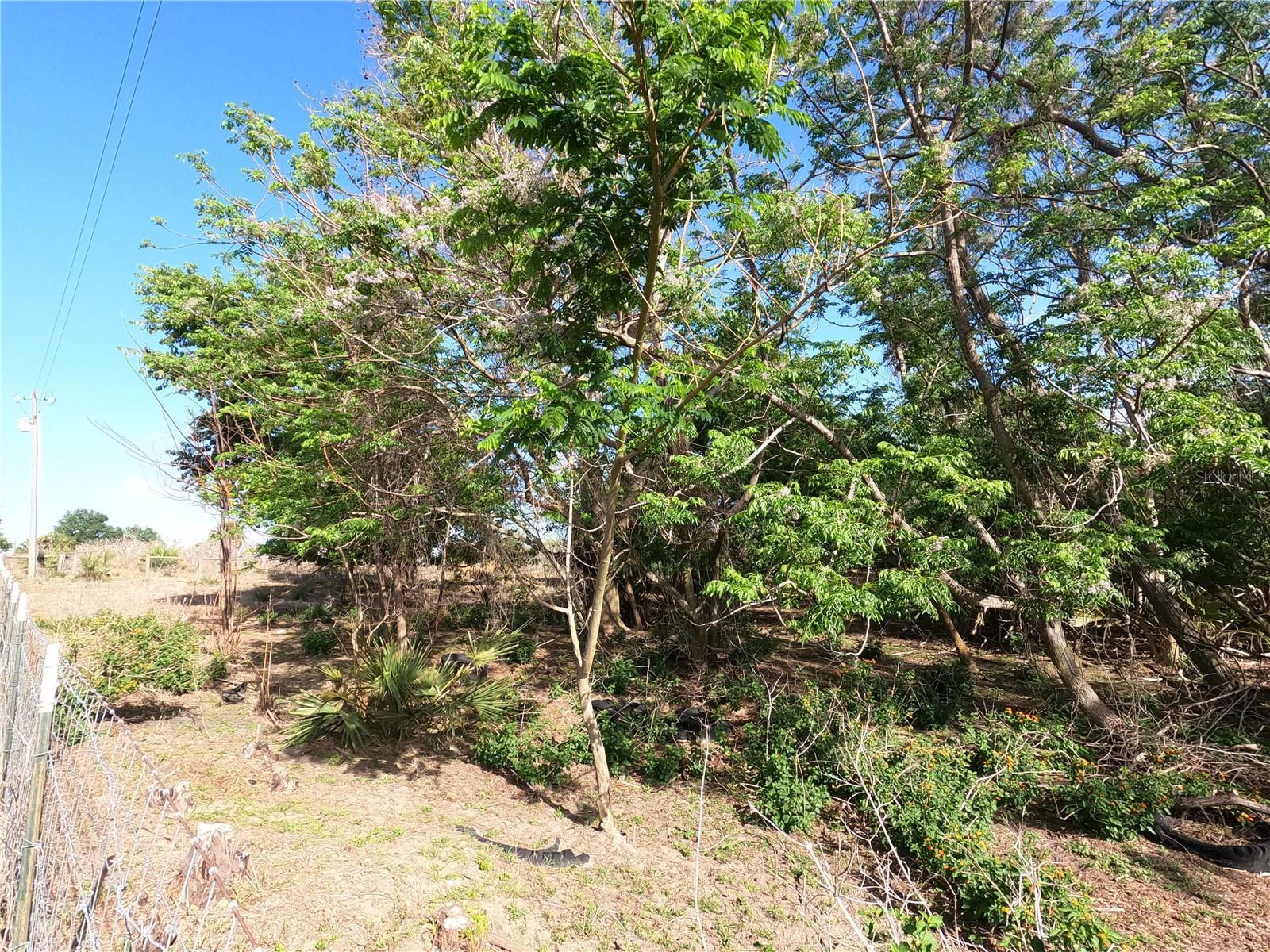 0 Earth Star Ln Property Photo 5