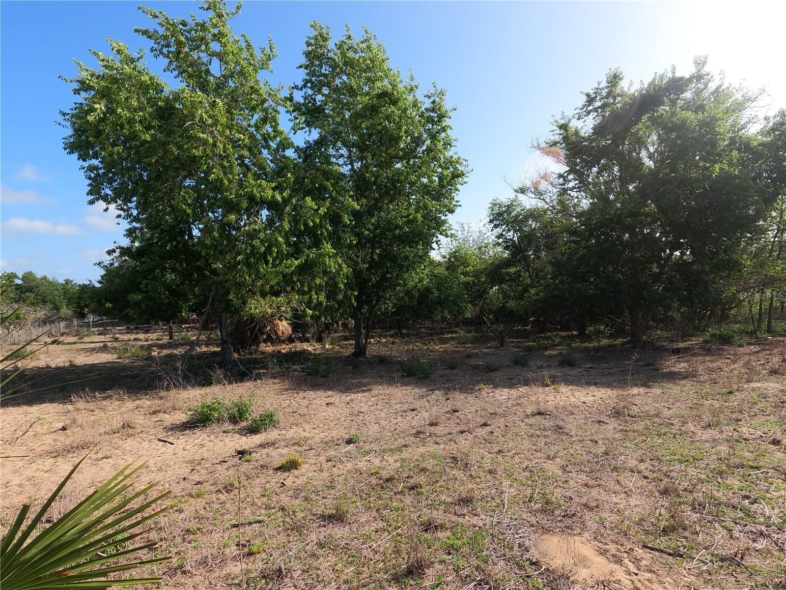 0 Earth Star Ln Property Photo 6