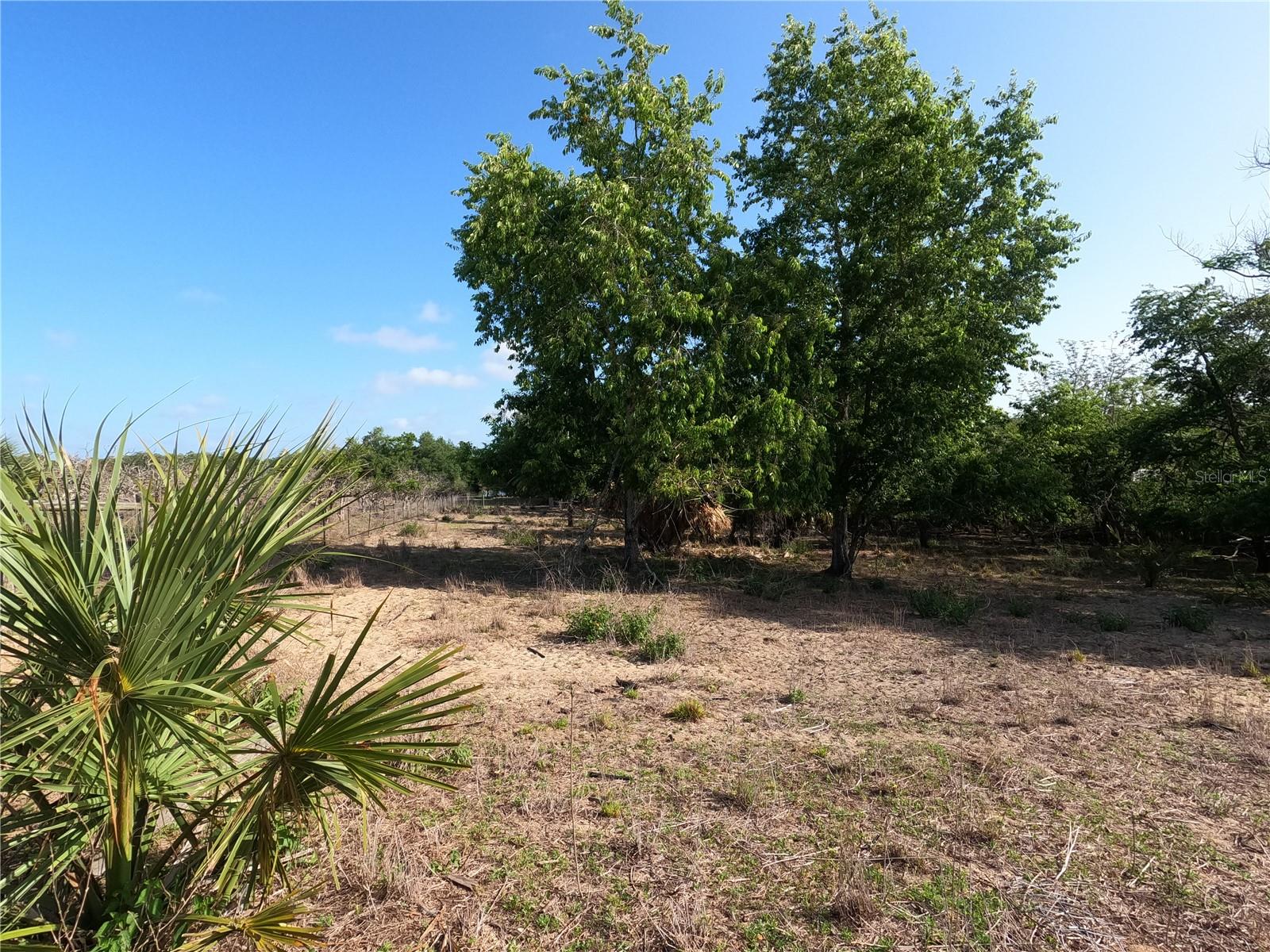 0 Earth Star Ln Property Photo 7