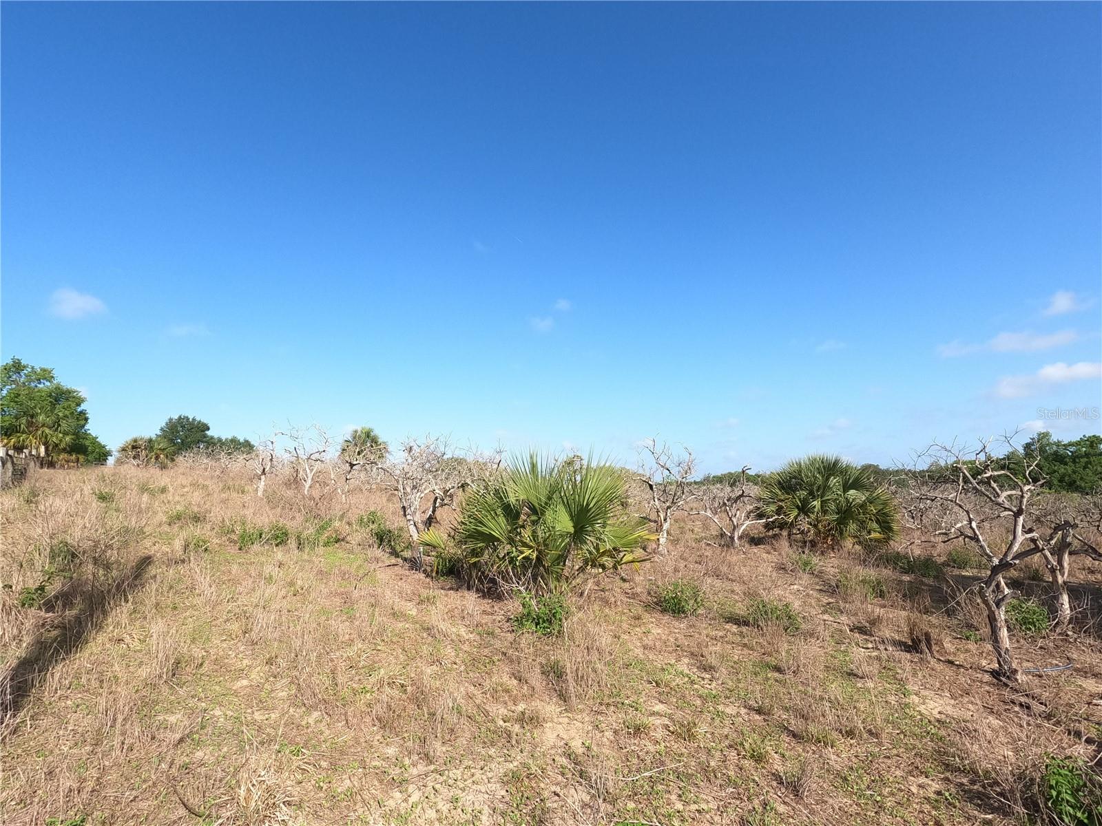 0 Earth Star Ln Property Photo 8