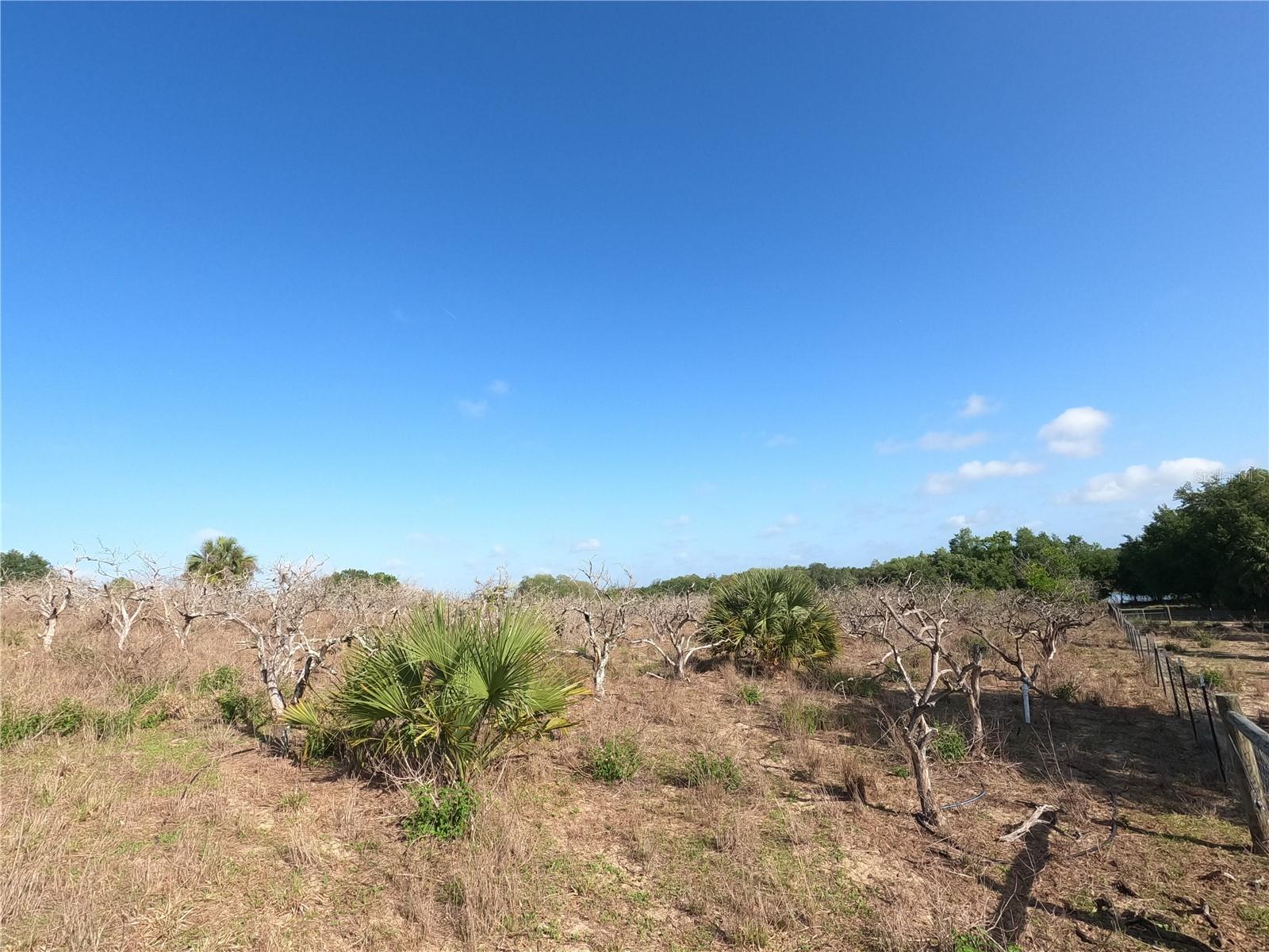 0 Earth Star Ln Property Photo 9