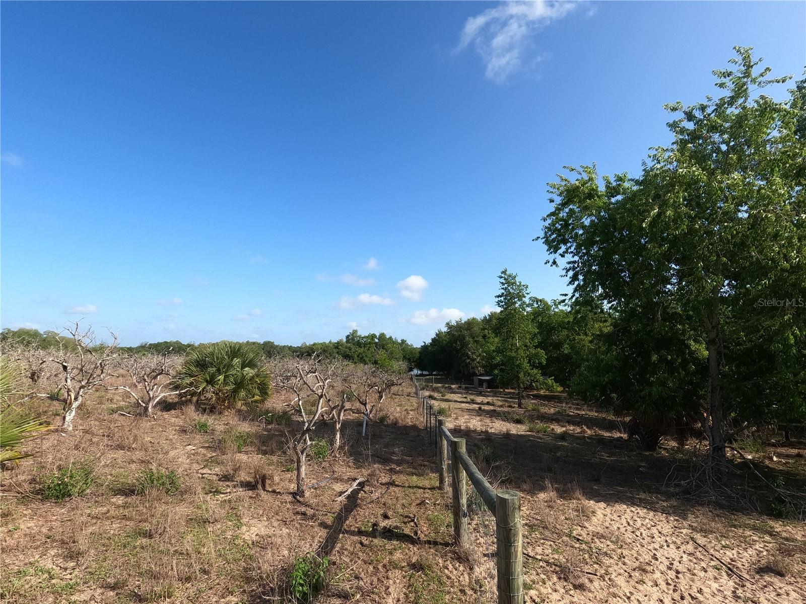 0 Earth Star Ln Property Photo 10