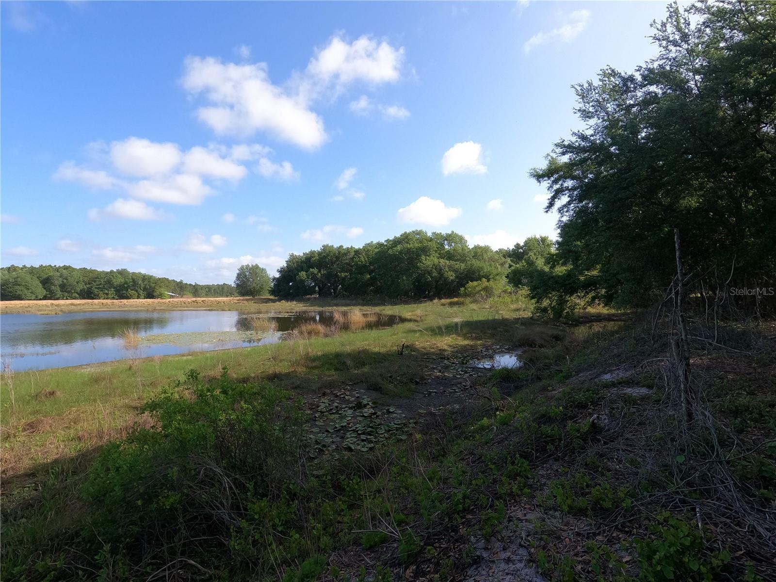 0 Earth Star Ln Property Photo 16