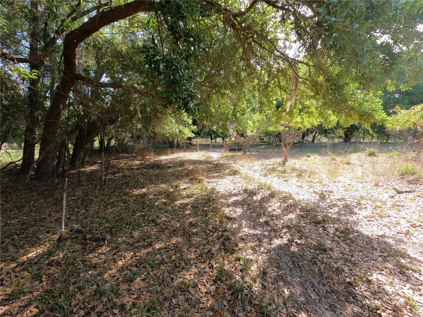 0 Earth Star Ln Property Photo 17
