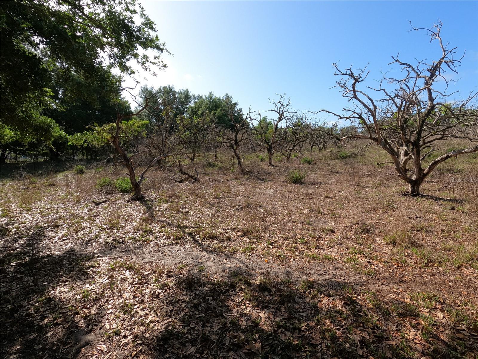 0 Earth Star Ln Property Photo 18