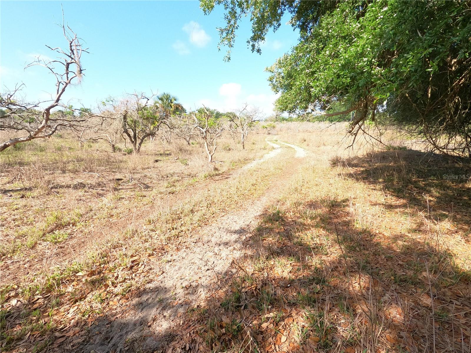0 Earth Star Ln Property Photo 19