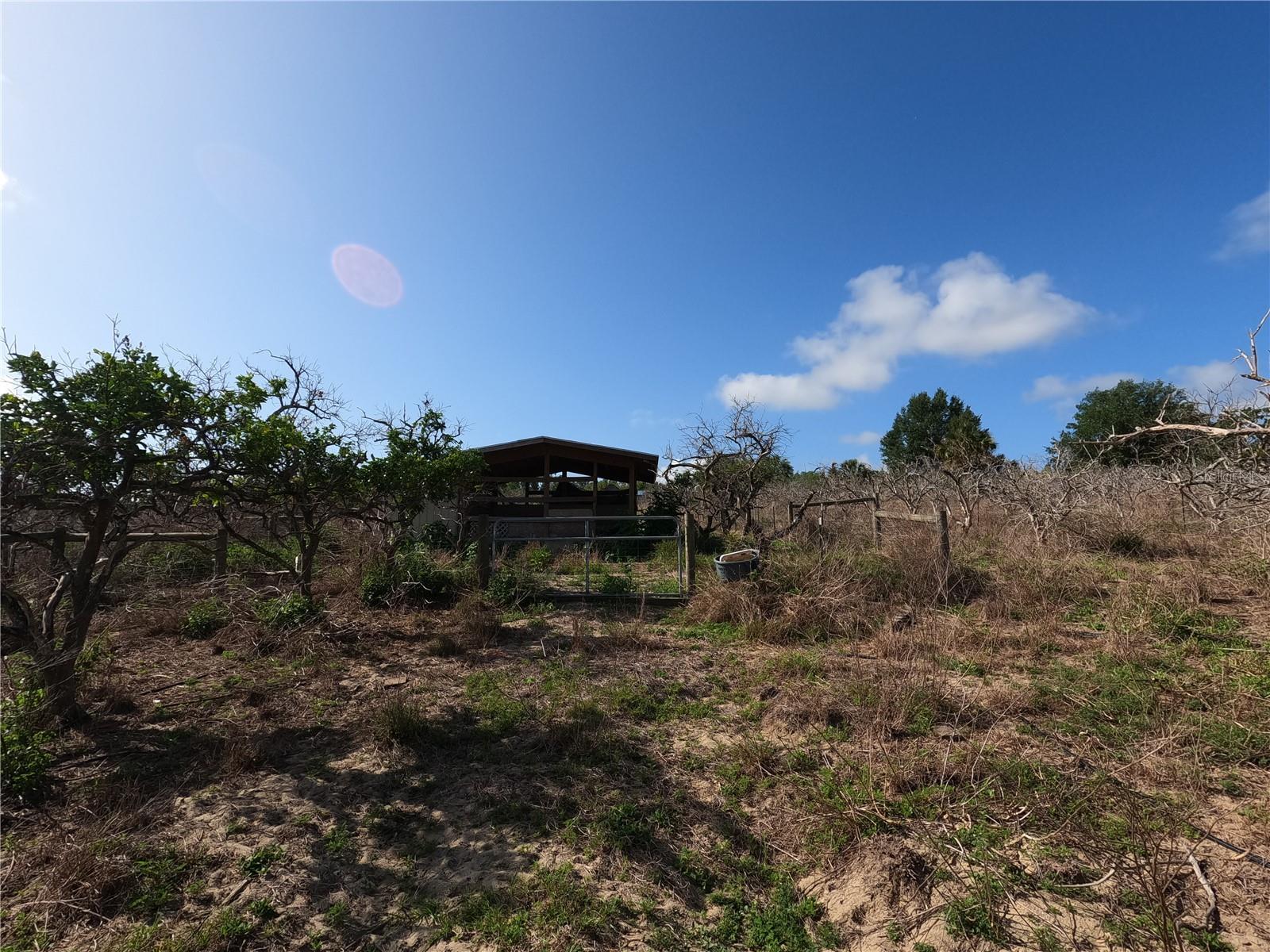 0 Earth Star Ln Property Photo 20