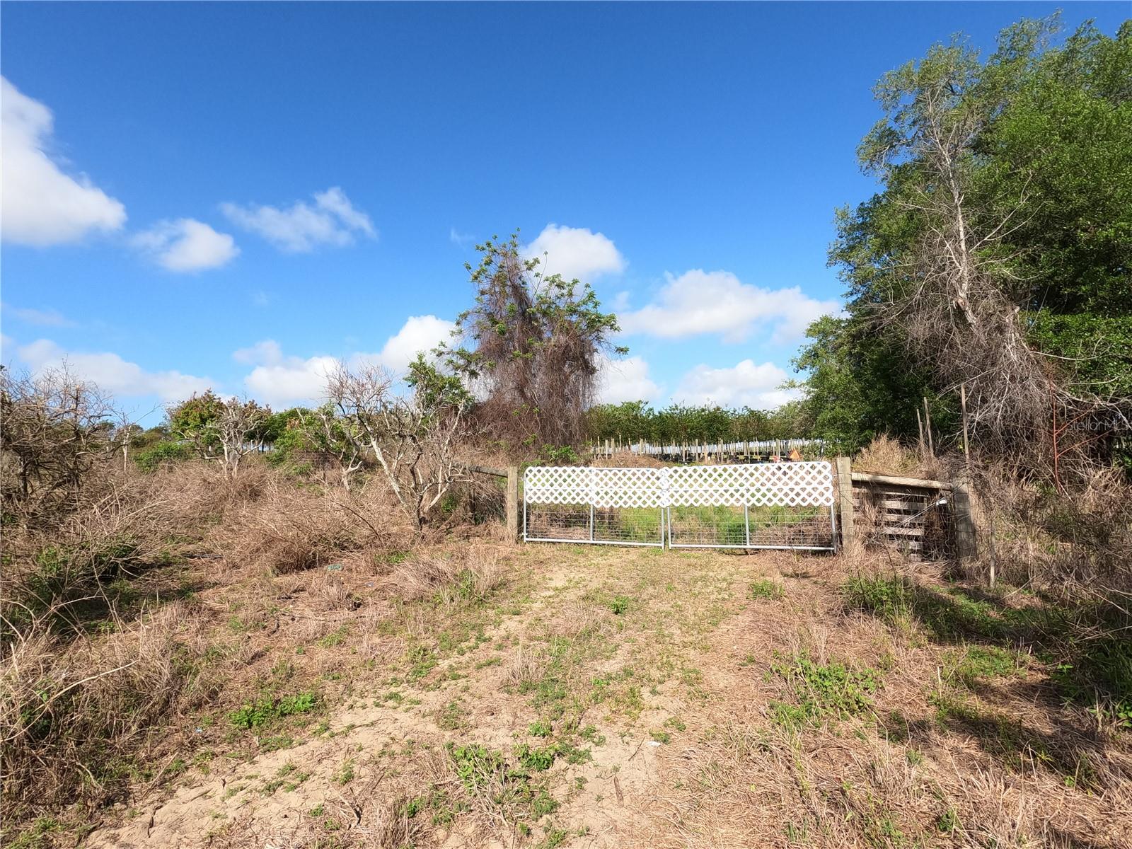 0 Earth Star Ln Property Photo 22