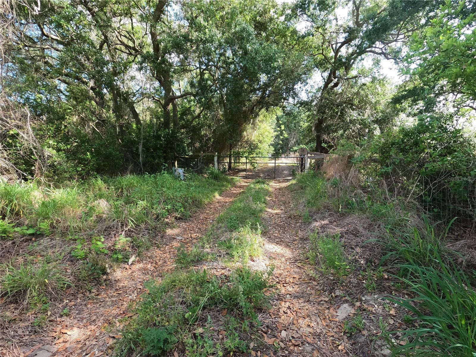 0 Earth Star Ln Property Photo 24