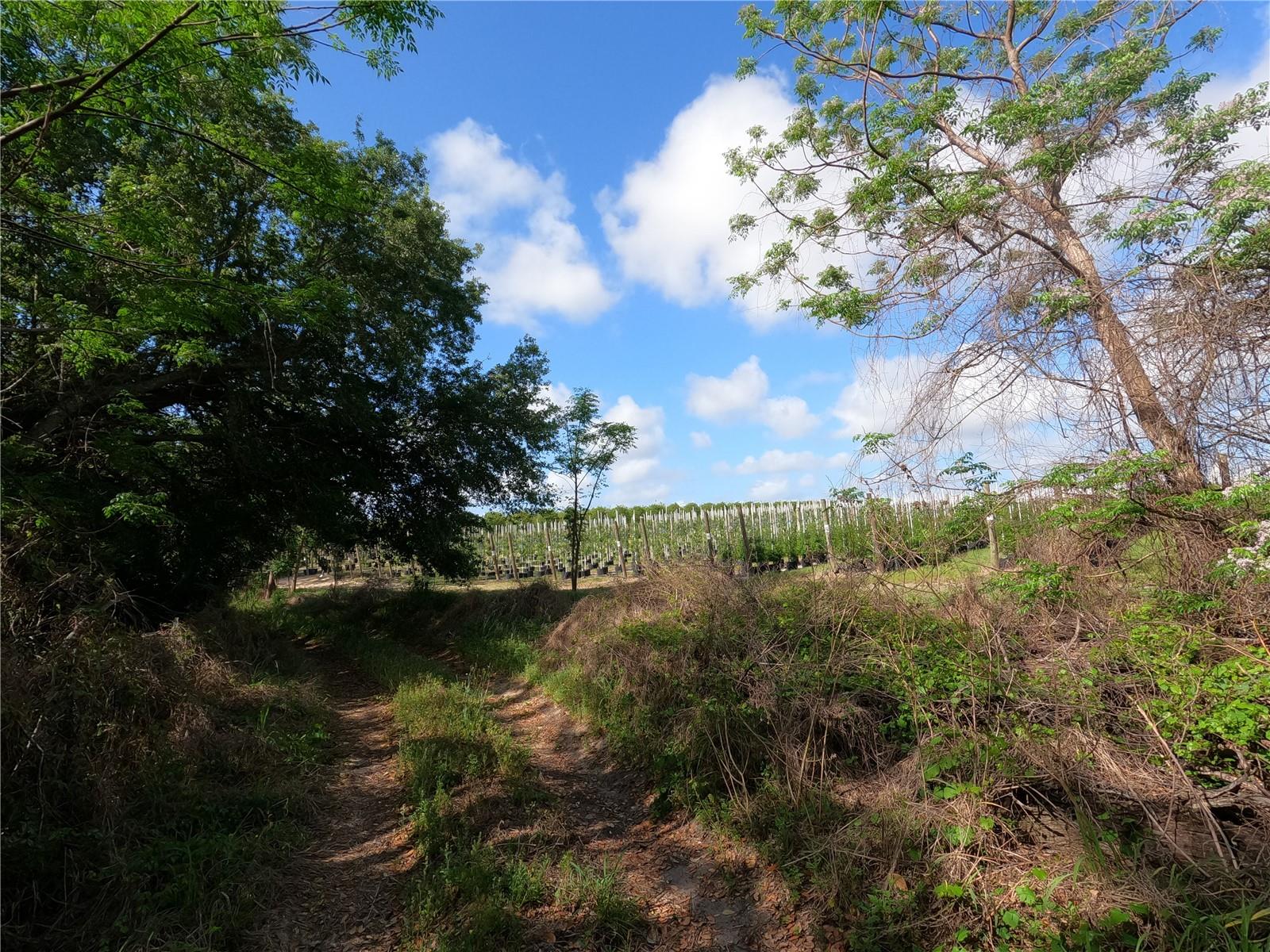 0 Earth Star Ln Property Photo 25
