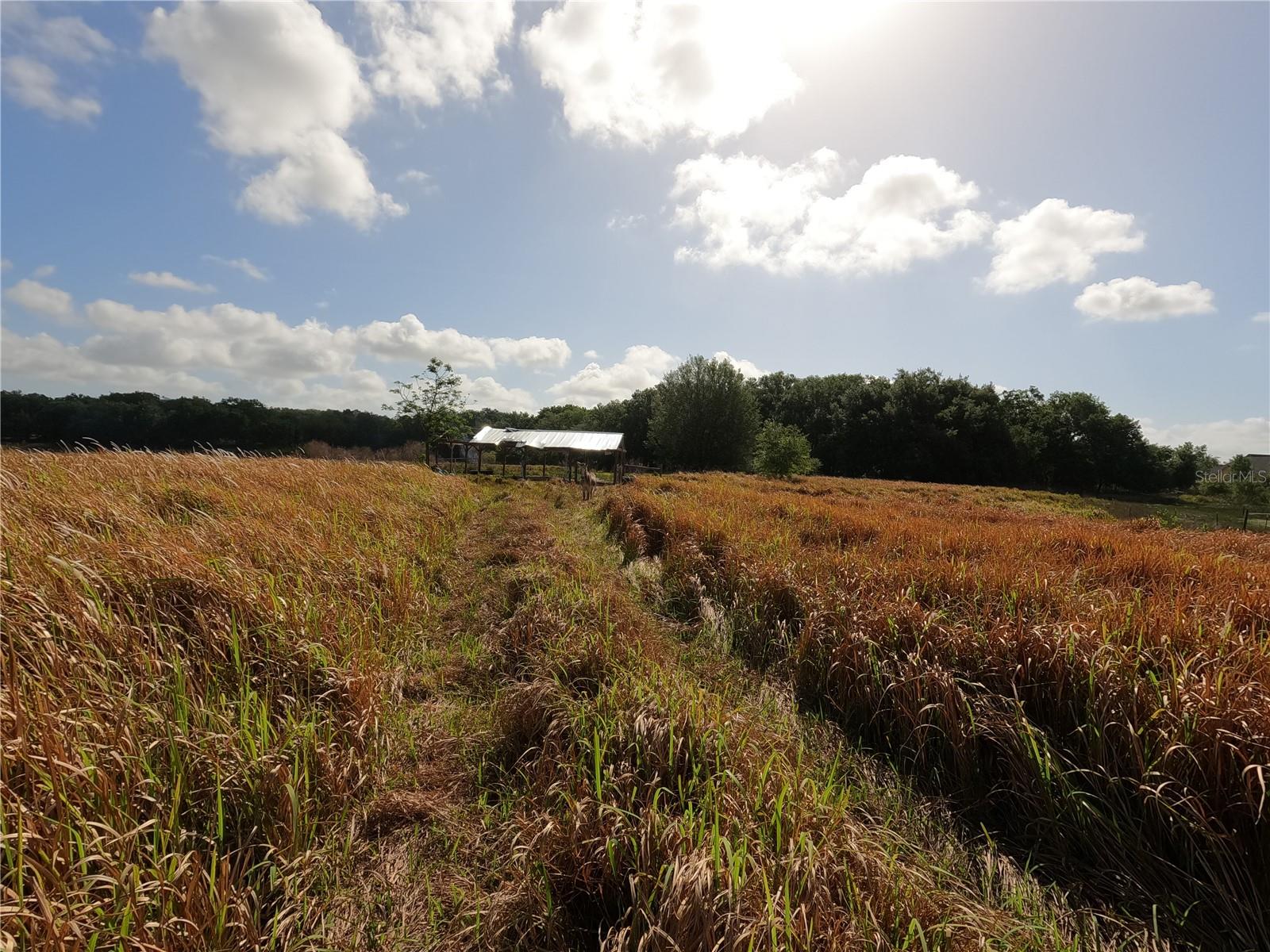 0 Earth Star Ln Property Photo 39