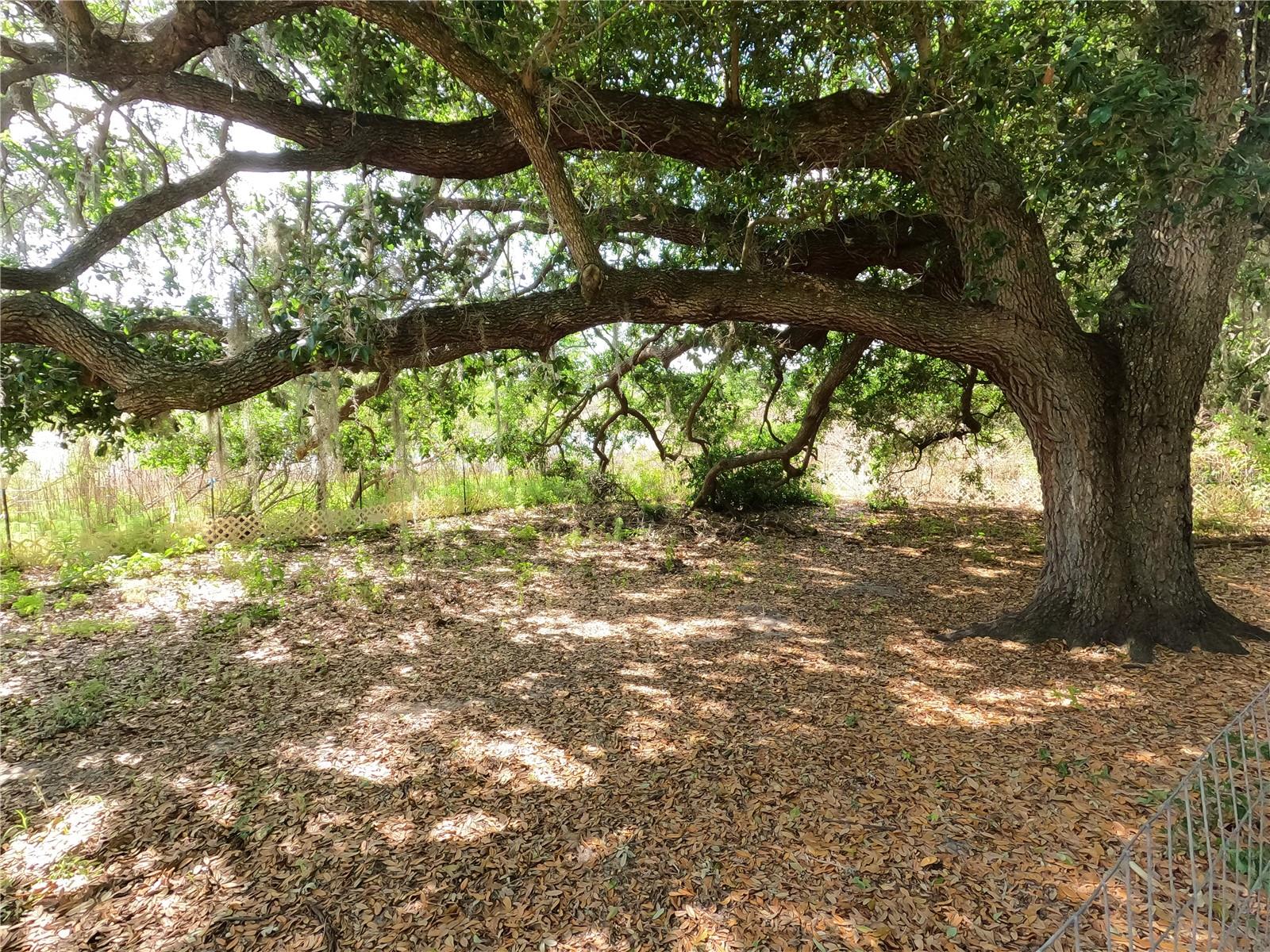 0 Earth Star Ln Property Photo 46