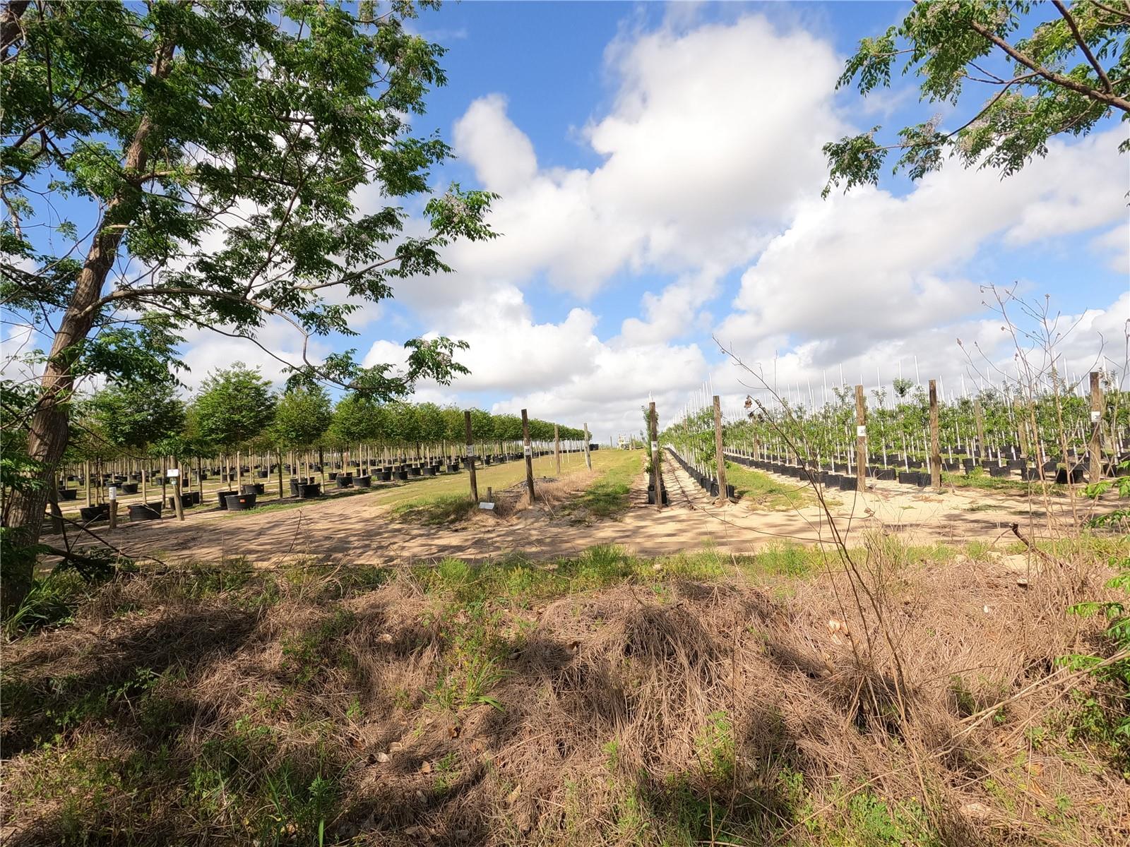 0 Earth Star Ln Property Photo 48